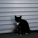 이디야화성조암점 | 주간일기챌린지 :: 7월 3주차