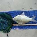 주봉낚시터 이미지