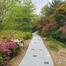 용인-수지-1 이미지