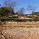 회성동161 이미지