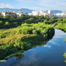 남대천새벽시장 이미지