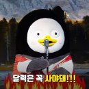우주대스타몰