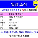 입상소식_(2024.10.27)_2024춘천마라톤대회 이미지