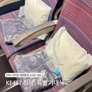 467 | 인천 나트랑 대한항공 KE467 A330-300 특별 기내식 글루텐프리식 탑승 좌석 추천