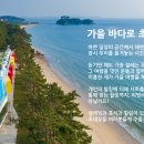 11월 10일~11일 (일~월) 가을바다 여벙을 제안합니다. 이미지