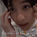 라쿤 하우스 네이버블로그