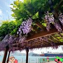 수변공원(2)아래수변공원 이미지
