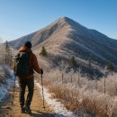 대암산 | 강원도 등산코스 소개: 대암산 트레킹 가이드(초보도 OK)