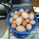 수아농원 이미지