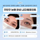 전북31바 5523 | [군산] 시선바이은 군산 속눈썹펌 자연스럽고 또렷한 LED펌포인트 후기