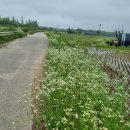 방구경로당 이미지