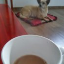 국용농장 이미지