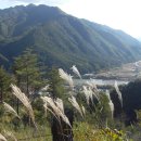 에코황토마을 이미지