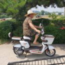 화이트 자전거 네이버블로그