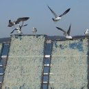 선창농장 이미지