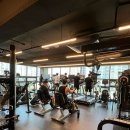 와일드 짐 이미지