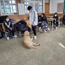 금강중학교 이미지