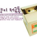 내공 50 // 도둑고양이 저금통 Off-Line... 이미지