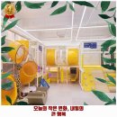 세류3 484 | 세류1동 카페 나만의 키즈카페 매교점 가격 및 후기 추천 리뷰 주차 예약 알아봐요