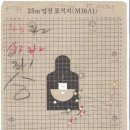 추억의 훈련용 M16 소총에 대해 이미지