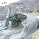 문성인쇄사 - 제주시 | 문성인쇄사