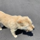 마영주유소 네이버블로그