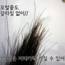 탈모를 부추기는 잘못된 샴푸 습관 이미지