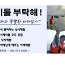 안면도바다사랑낚시 이미지