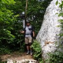 진고개공원 이미지