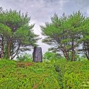 삼웅마을회관 이미지