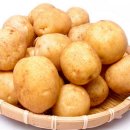 스위스보청기 이미지