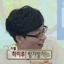 일산애견스쿨 이미지