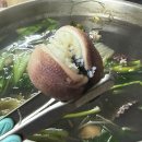 화성시장 | 화성 궁평항 수산물시장 순길호 알쭈꾸미 새조개 후기