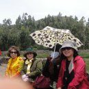 신전농장 이미지