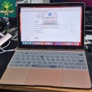 뉴골드pc | 제주 서귀포 고객님 뉴 맥북 A1534 OCLP 맥OS Sequoia 설치 리뷰요즘 가격 오른 노트북 대신, 아직 쓸...