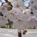 일범식당 이미지