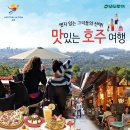 동화여행사