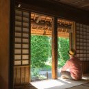 알프스게임하우스 이미지