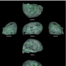 지역의 숨은 보물 : 관광문화자원 재발견 | 카르타헤나에서 발견된 로마 항아리, 잊힌 총독과 희귀한 제비뽑기 의식 밝혀