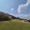 서라벌골프클럽 | 서라벌CC 벚꽃 라운딩 후기(with 친구들과 힐링한 하루)