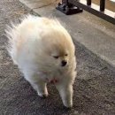 오지5구 이미지