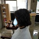 산호동050 이미지