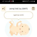 모정해물탕