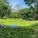 힐링요가(주간) 이미지