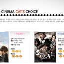 고양이 세수_설렘 이미지