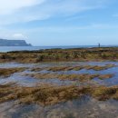 오성행정사 이미지