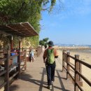 씨사이드파크 이미지