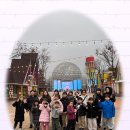 국가대표 불태우리 태권도장 이미지