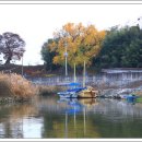 성당포구 이미지