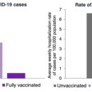 피카소파크 이미지